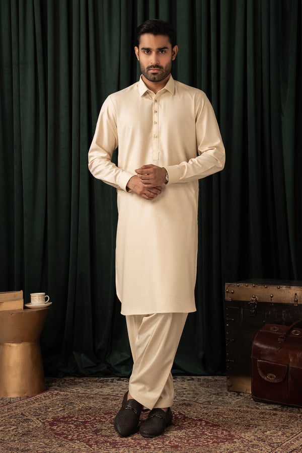 BASIC FANCY SHALWAR SUIT