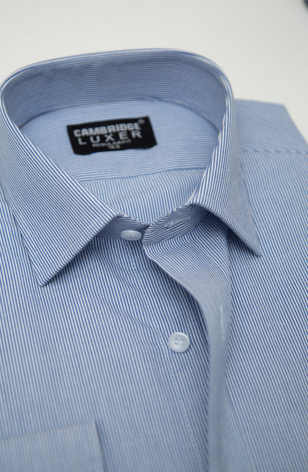 Blue Stripes Formal Shirt