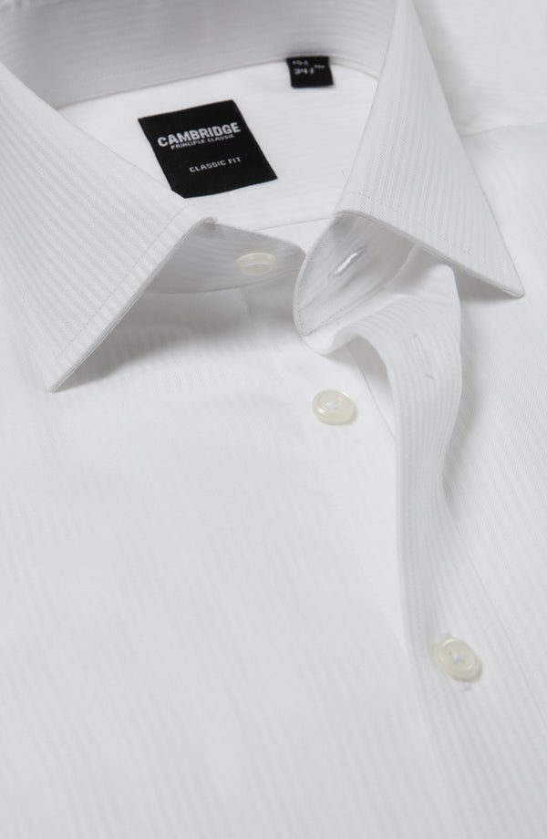 Principle Swan Mens Shirt